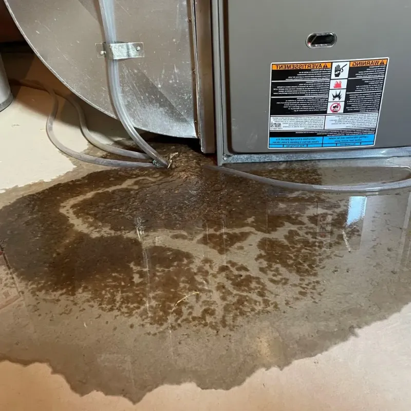 Pipe Burst and Leak Restoration in Davis County, UT